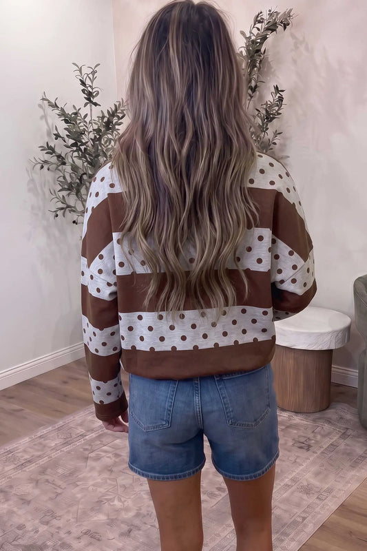 Brown Stripe Patchwork Polka Dot Accent Quarter Zip Long Sleeve Top model back view · nz-alt-v1
