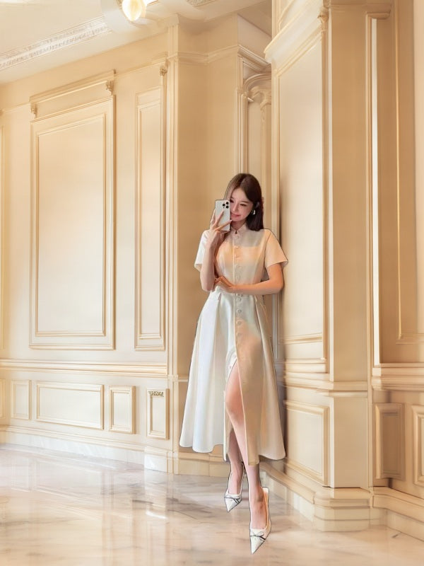 Mandarin Collar Button-Front Midi Dress model front view · nz-bg-v1