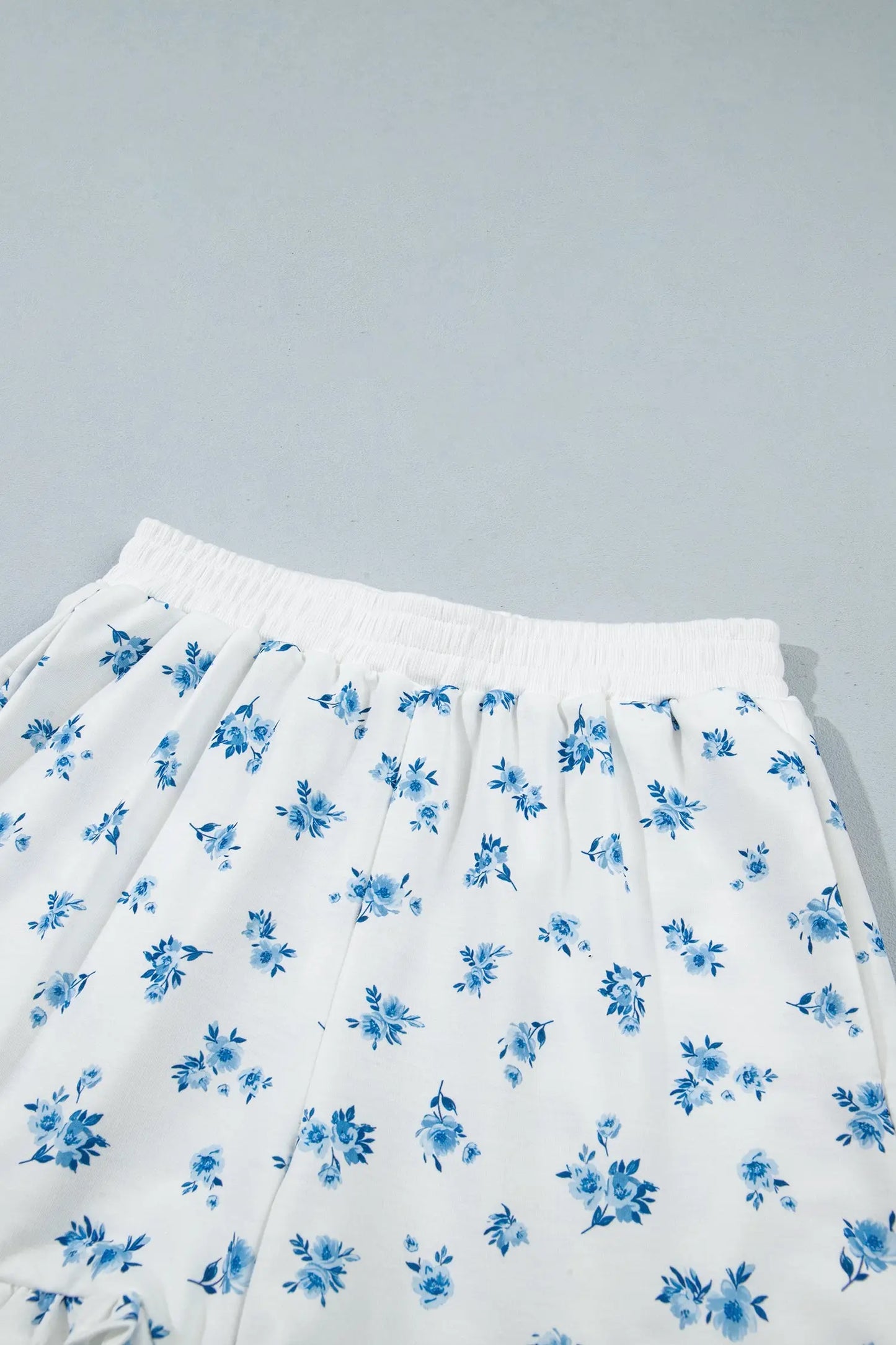 Sky Blue Floral Print Long Sleeve Top Elastic Waist Ruffle Hem Shorts 2pcs Set