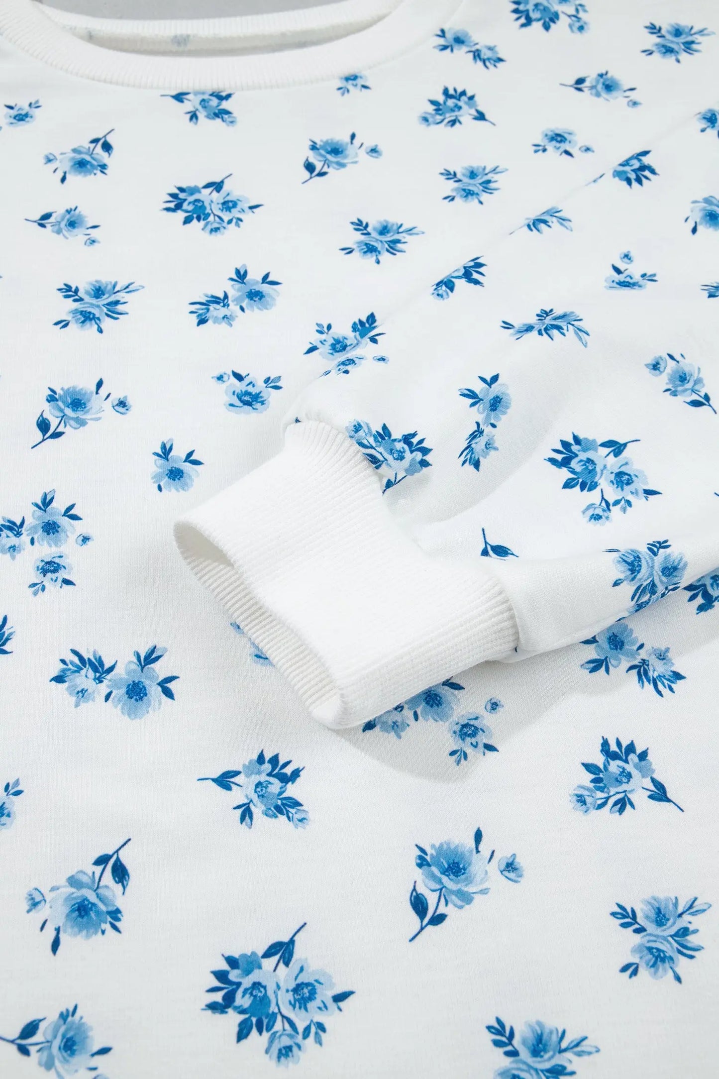 Sky Blue Floral Print Long Sleeve Top Elastic Waist Ruffle Hem Shorts 2pcs Set