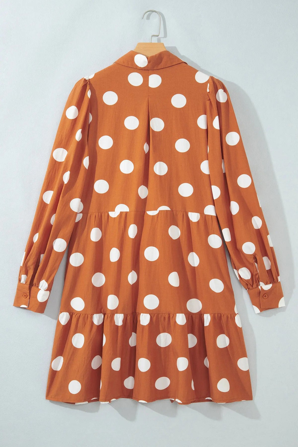 Brown Polka Dot Long Sleeve Tie Waist Casual Shift Mini Dress hanging view · nz-alt-v1
