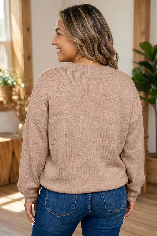 Dark Khaki Leopard Bow Embroidery Drop Shoulder Tunic Plus Size Sweater model back view · nz-alt-v1