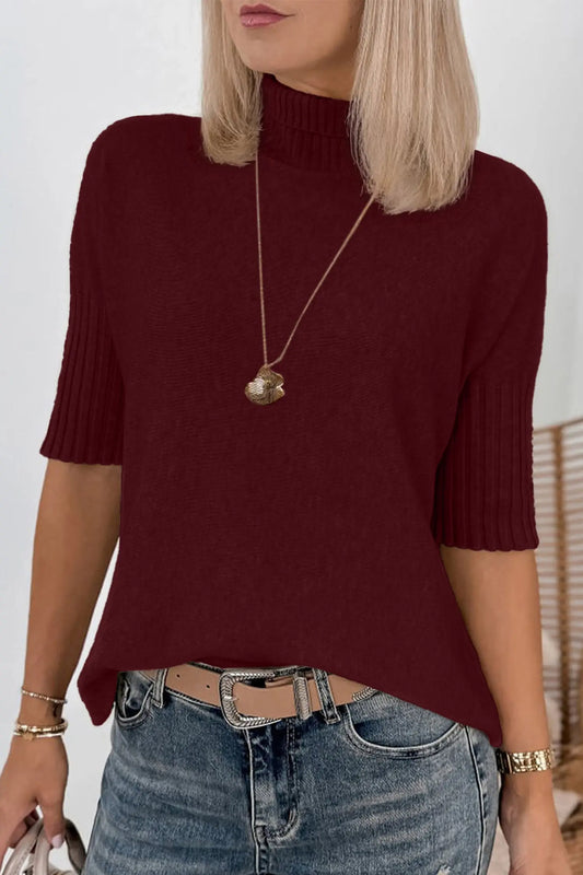 Burgundy Ribbed Trim High Neck Short Sleeve Casual Sweater model front view · nz-alt-v1