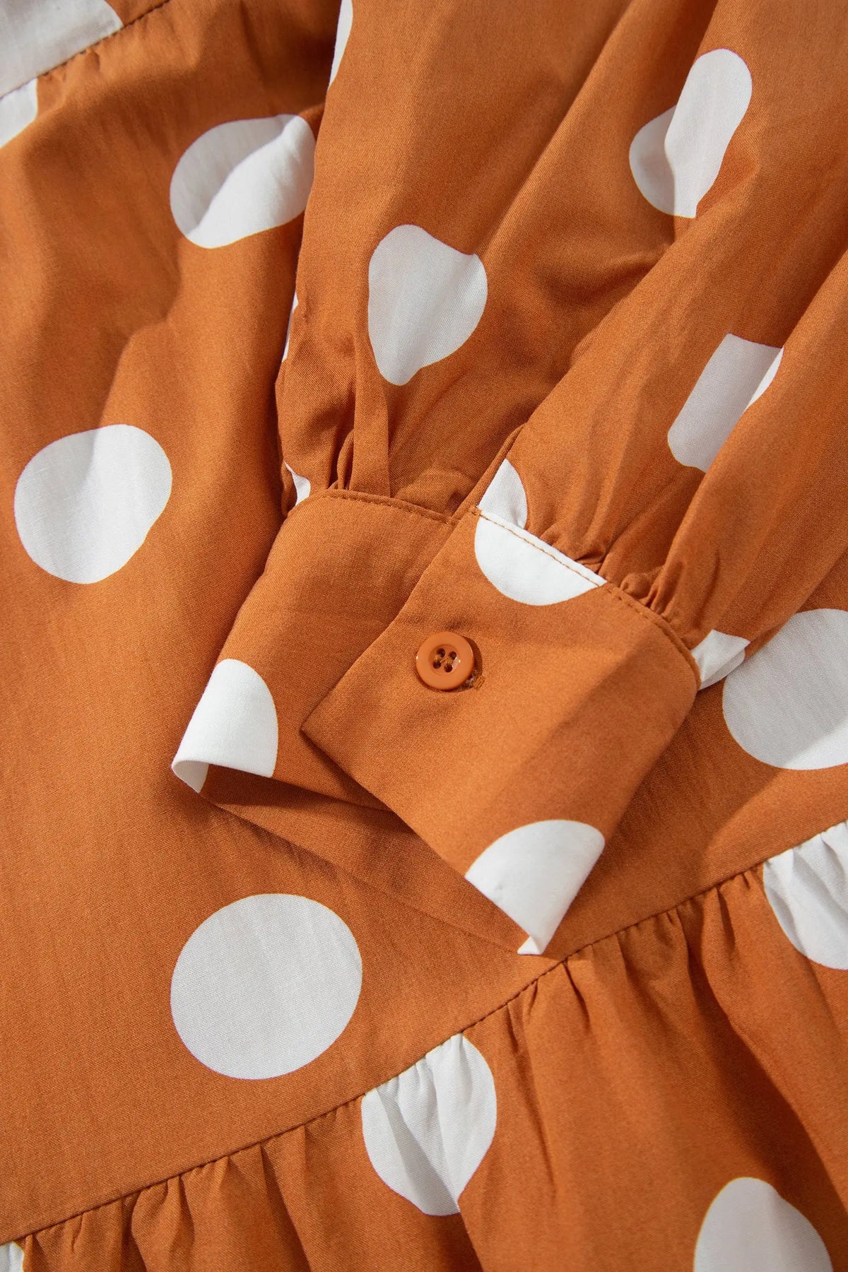 Brown Polka Dot Long Sleeve Tie Waist Casual Shift Mini Dress detail view · nz-alt-v1
