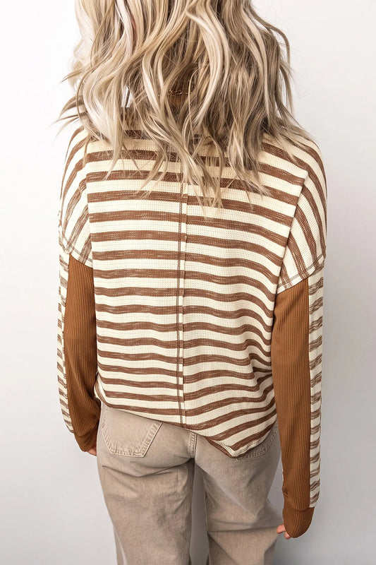 Brown Stripe Textured Knit Color Block Trim Long Sleeve Round Neck Top model back view · nz-alt-v1