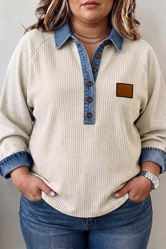 Light Grey V-Neck Long Sleeve Denim Collar Ribbed Plus Size Tunic Blouse model front view · nz-alt-v1