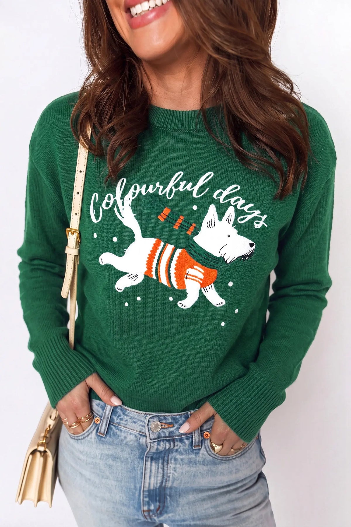 Blackish green abstract dog embroidery Christmas round neck sweater model front view · nz-alt-v1
