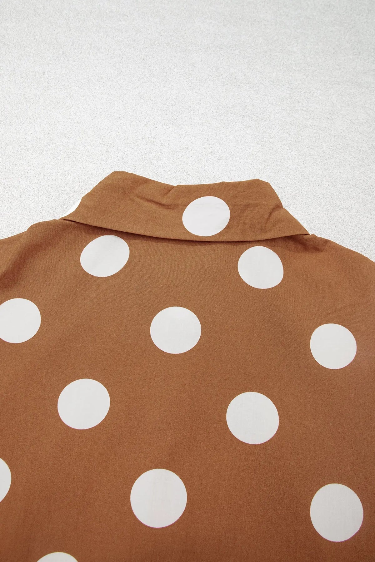 Brown Polka Dot Button Front Long Sleeve Shift Dress detail view · nz-alt-v1