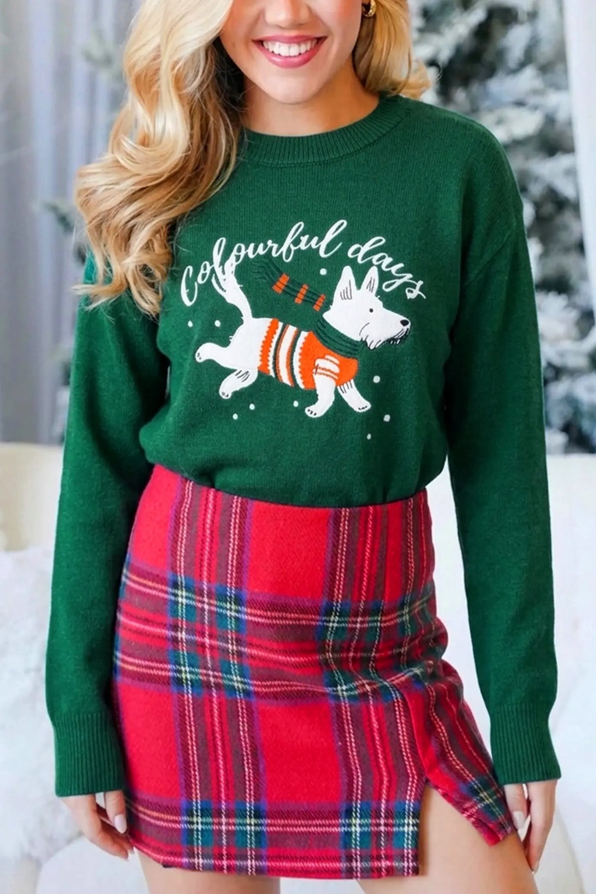 Blackish green abstract dog embroidery Christmas round neck sweater model front view · nz-alt-v1