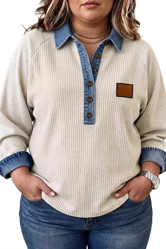 Light Grey V-Neck Long Sleeve Denim Collar Ribbed Plus Size Tunic Blouse model front view · nz-alt-v1