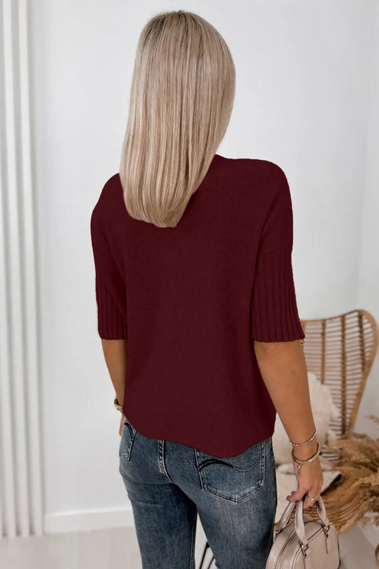 Burgundy Ribbed Trim High Neck Short Sleeve Casual Sweater model back view · nz-alt-v1