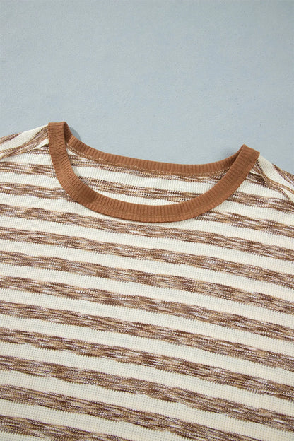 Brown Stripe Textured Knit Color Block Trim Long Sleeve Round Neck Top