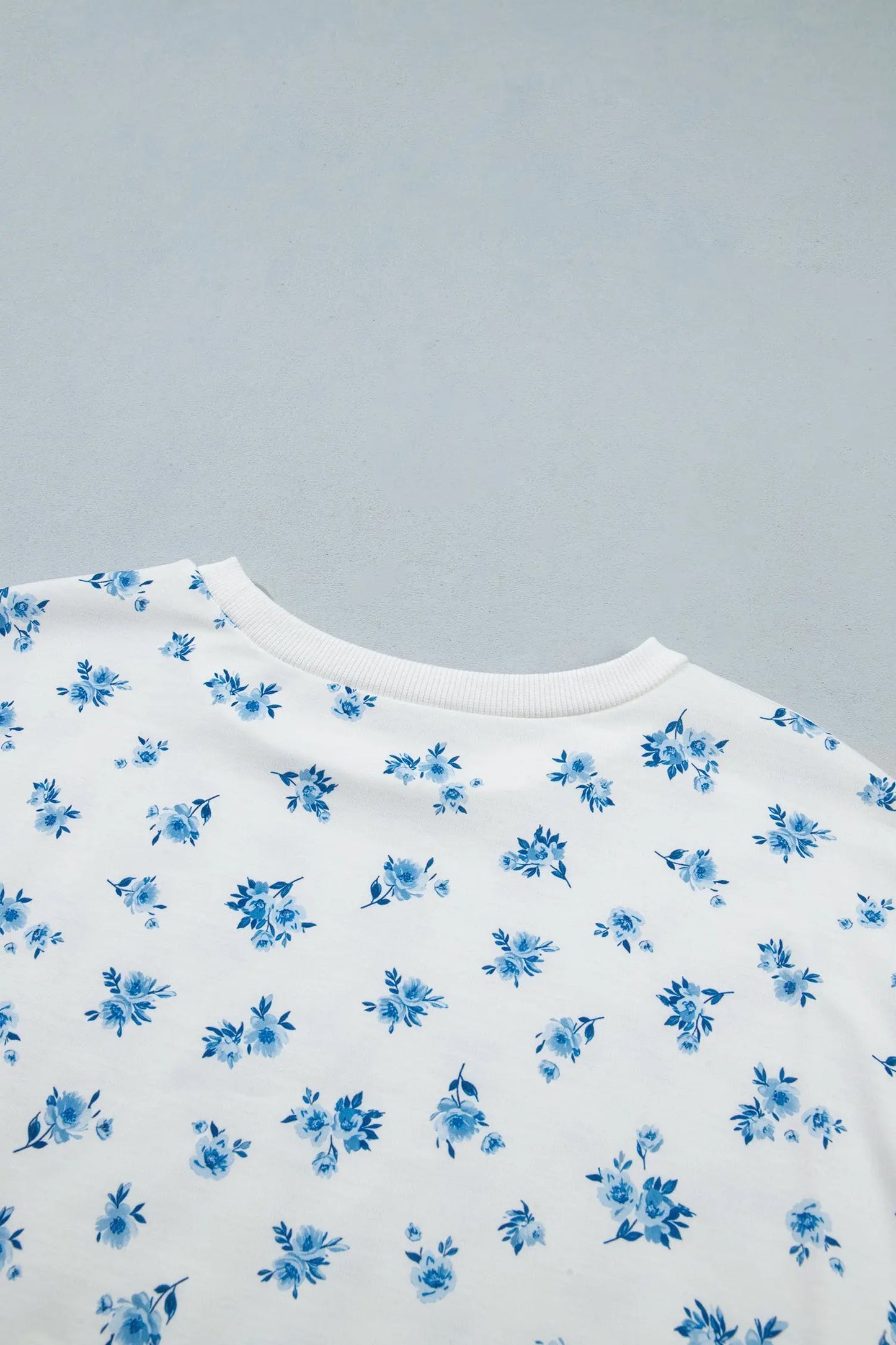 Sky Blue Floral Print Long Sleeve Top Elastic Waist Ruffle Hem Shorts 2pcs Set