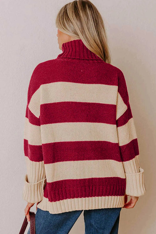Red Stripe Ribbed Trim High Neck Relaxed Pullover Sweater model back view · nz-alt-v1