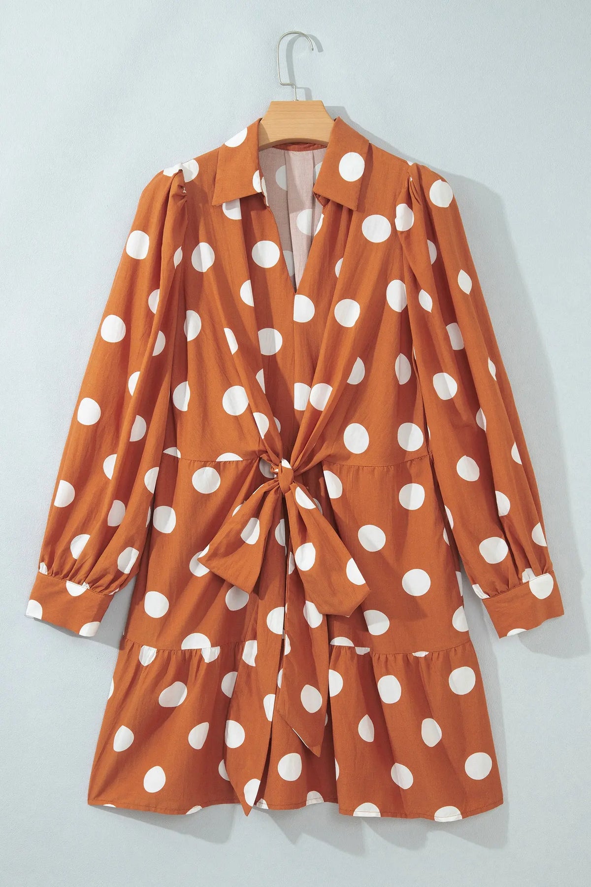 Brown Polka Dot Long Sleeve Tie Waist Casual Shift Mini Dress hanging view · nz-alt-v1