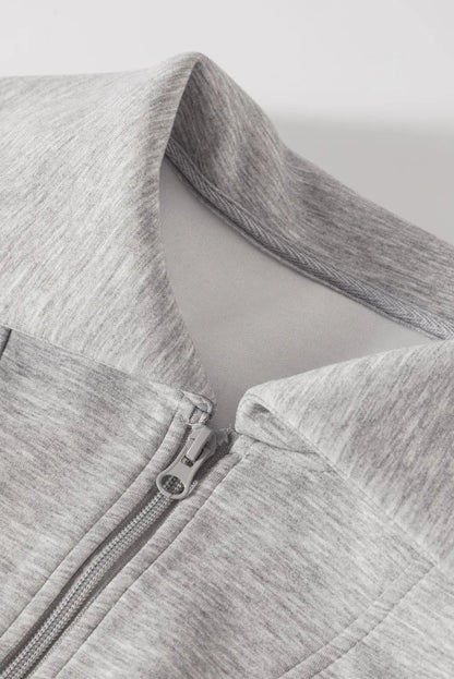 Light Grey Solid Zip Sailor Collar Pullover Athleisure Sweatpants 2pcs Set