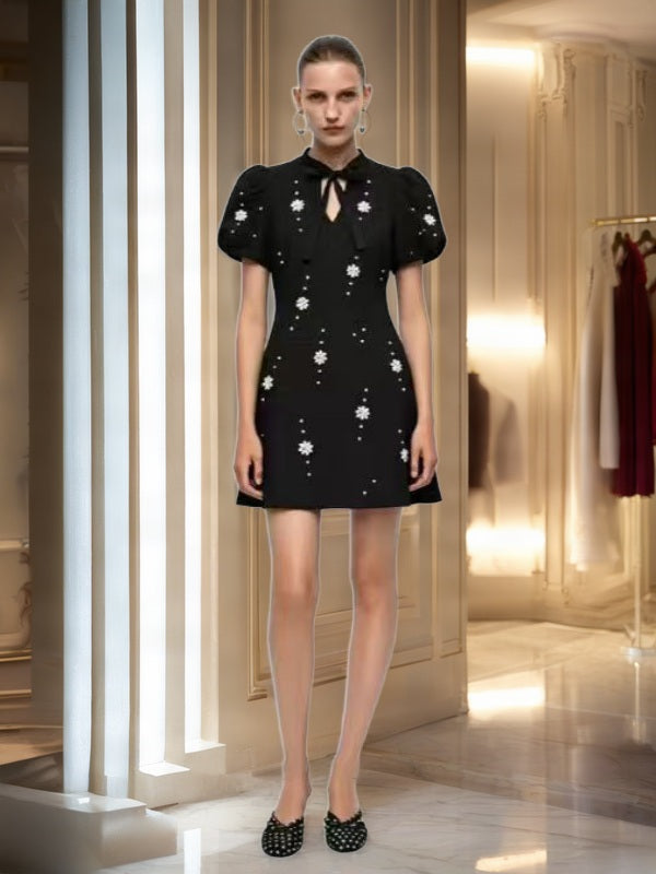 Beaded Daisy Bow-Neck Puff Sleeve Mini Dress model front view · nz-bg-v1