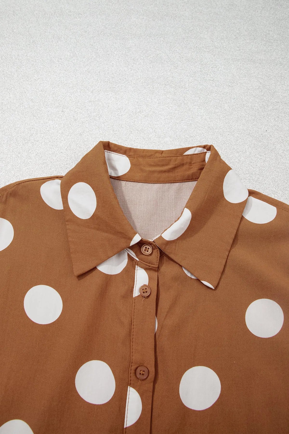 Brown Polka Dot Button Front Long Sleeve Shift Dress detail view · nz-alt-v1