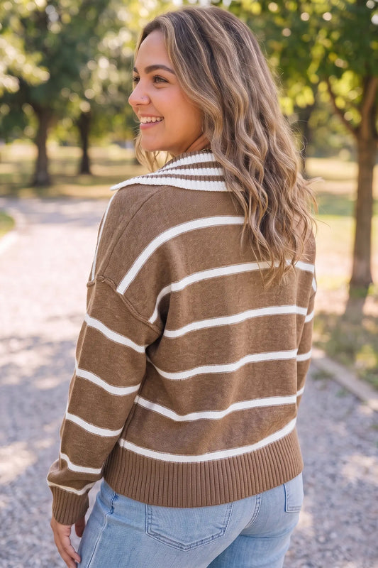 Brown Stripe Striped V Neck Long Sleeve Shift Plus Size Sweater model back view · nz-alt-v1