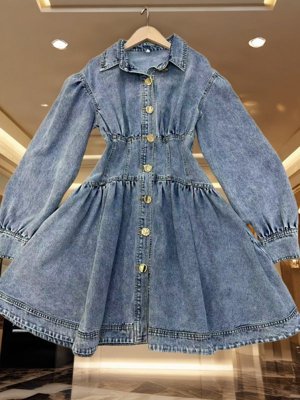 Puff Sleeve Denim Shirt Dress with Gold Buttons hanging view · nz-bg-v1